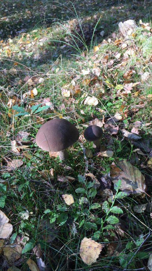 Pokoje Przy Warszawskiej Połczyn-Zdrój Esterno foto