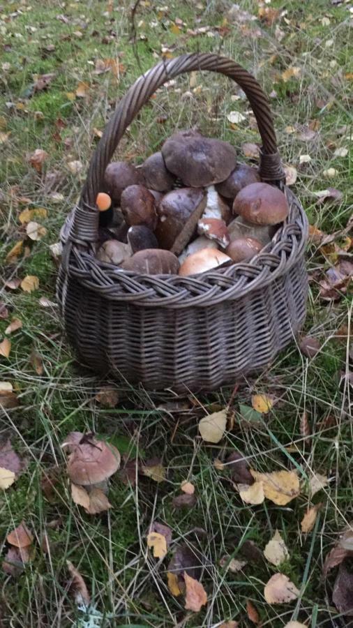 Pokoje Przy Warszawskiej Połczyn-Zdrój Esterno foto